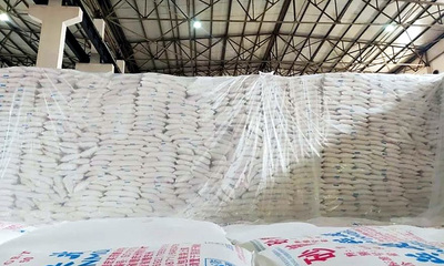截止4月底全国累计销糖515万吨 产销率57.4% 同比增长