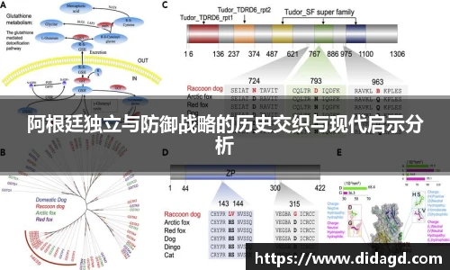 阿根廷独立与防御战略的历史交织与现代启示分析